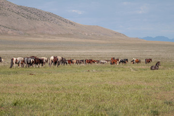 Rest Stop