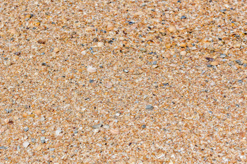 Background of yellow sand with small seashells