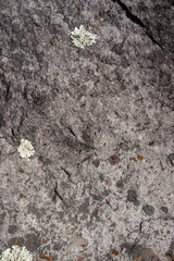 Stone Texture