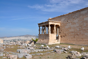 Fototapeta premium Erecteion 