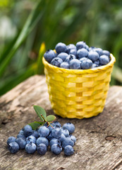 Wicker yellow basket with blueberries on a wooden table in the garden