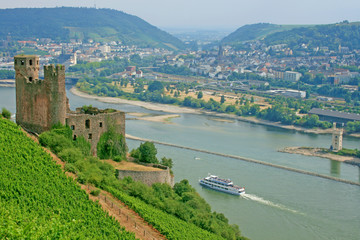 Fototapeta na wymiar Burg Ehrenfels, Ruine am Rhein