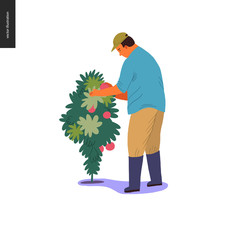 Harvesting people - vector flat hand drawn illustration of an adult man wearing a cap and rubber boots collecting cherry tomatoes from high bush. Self-sufficiency, farming and harvesting concept