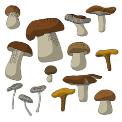 Autumn forest mushrooms different shapes and sizes stickers set vector