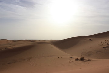 Fototapeta na wymiar Saara Desert
