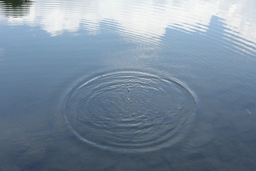 eau