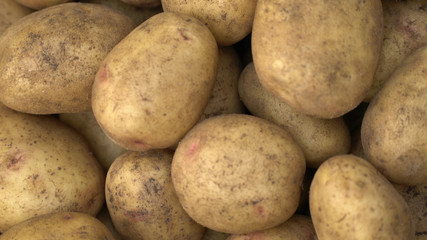 close up Potato pile background