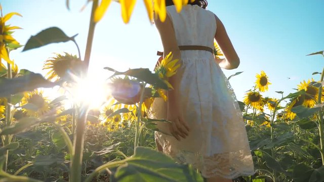 Happy little girl runs happy free across the field with sunflowers. slow motion video. smelling big sunflower on summer field. Delight of a pleasant smell lifestyle. Summer holiday. concept happiness