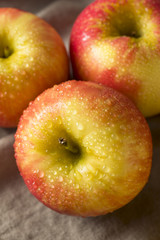 Raw Red Organic Honeycrisp Apples