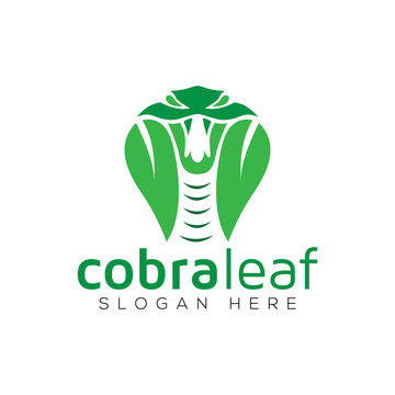 Cobra Leaf snake logo vector template