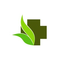 Plus logo with leaf 