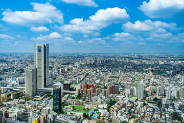 Fototapeta premium 都市風景 東京 ビジネス街