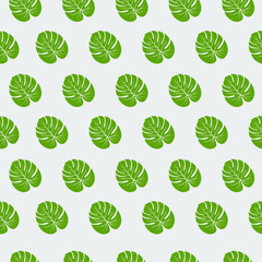 Monstera leaf seamless pattern vector illustration