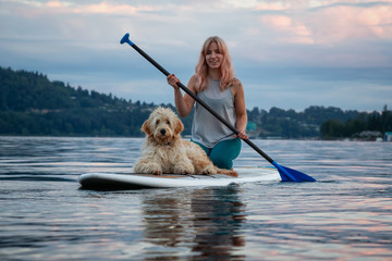 Girl with a dog on a paddle board during a vibrant summer sunset. Taken in Deep Cove, North...