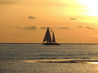 Sunset and sails