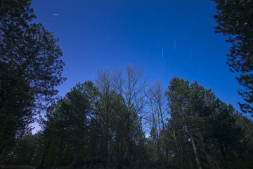Obraz na płótnie Canvas Perseid Meteor shower and stars
