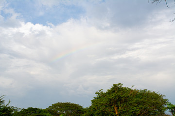 arcoiris