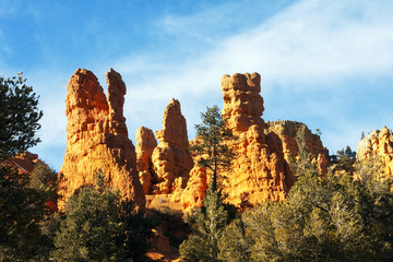 Fototapeta na wymiar Kings Court Rock Formation in Bryce Canyon National Park, Utah