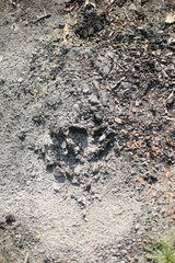 texture