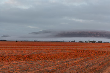 Fototapeta na wymiar Plowed red field at sunrise under low morning clouds. Hawker, South Australia