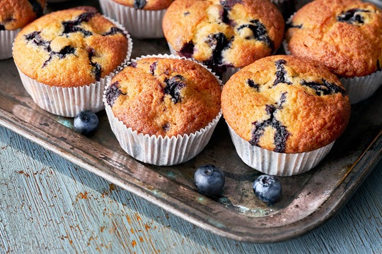Tasty blueberry muffins on old baking tray sitting on rustic wood, text space
