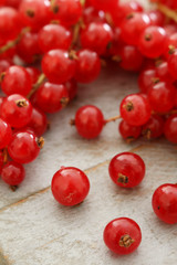 fresh redcurrants
