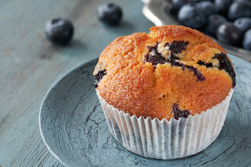 Close-up on muffin with blueberries on gray rustic background