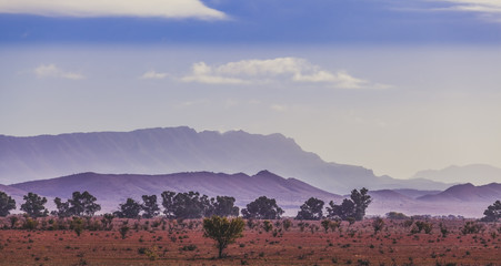Silhouettes of Flinders Ranges mountain range in early morning mist in South Australia