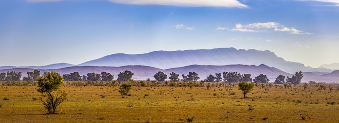 Fototapeta na wymiar Landscape panorama of Flinders Ranges mountain ridge in South Australia