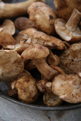 fresh uncooked mushrooms