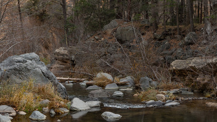 River in the Forrest