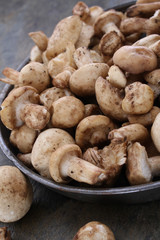 fresh uncooked mushrooms