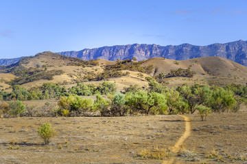 Landscape of Flinders Ranges in South Australia