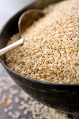 sesame seeds in dish