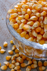 uncooked popcorn kernals