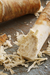 grating fresh horseradish root