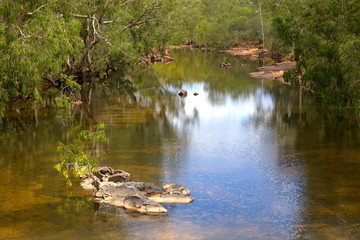 Naklejka na ściany i meble Idyllic Ibis creek near Irvinebank on the Atherton Tableland in Queensland, Australia