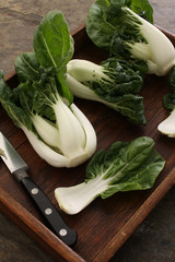 preparing pac choi vegetable