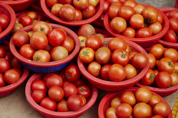 tomatoes in a box