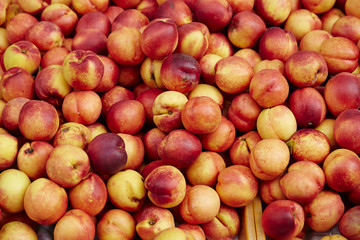 Fruit market