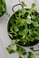fresh salad leaves