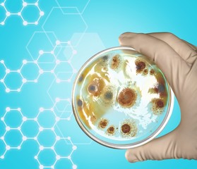 Microbiology.