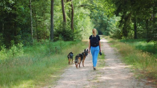 Clip of a girl walking on a dirt road with westpointer and German shepherd dogs.