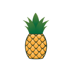 Pineapple fruit vector