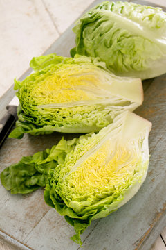 little gem cos lettuce