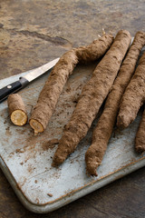 salsify root