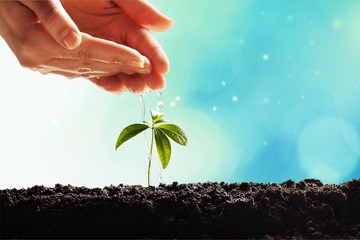 Growth.