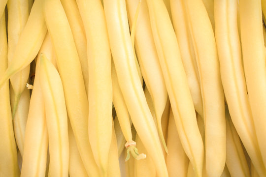 Fresh, natural beans, concept of healthy nutrition
