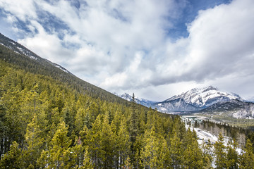 Wide angle mountain view with cloudy skies, snow covered peaks and valley of spruce trees.