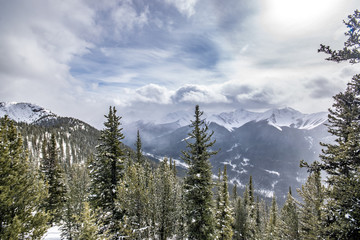 Wide angle view at Banff National Park, standing in front of  spruce trees looking out the the mountain view with snow covered peaks and grey cloudy skies.